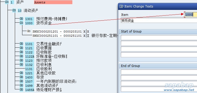 SAP中资产负债表的配置图.jpg