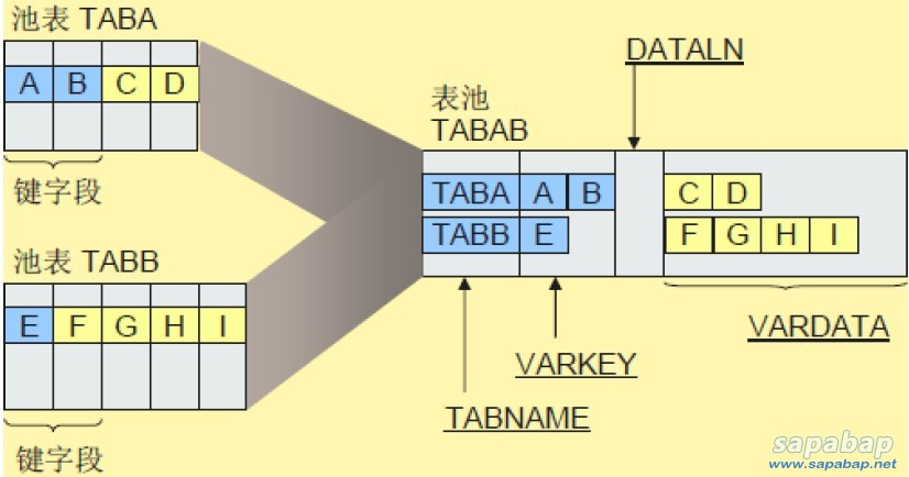 池表的存储结构示意图.jpg