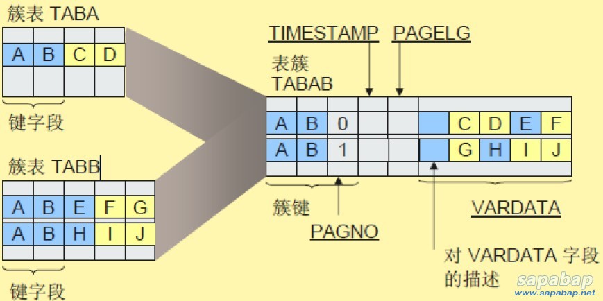 簇表的存储结构示意图.jpg