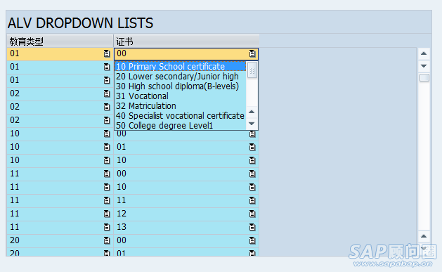 Dropdown list in ALV.png